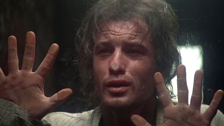 Midnight Express still