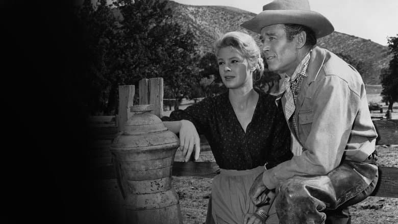 The Tin Star still