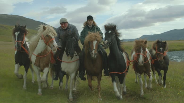 Of Horses and Men still