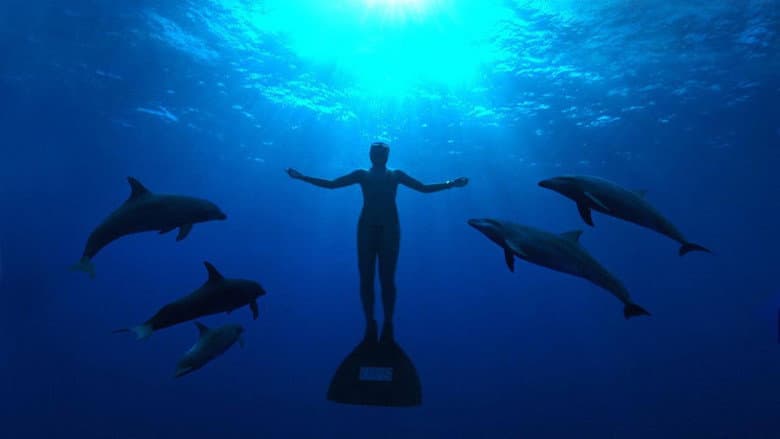 The Cove still