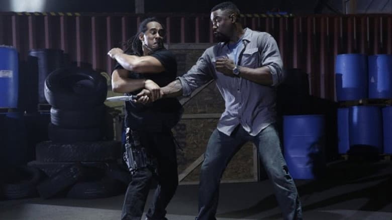 Falcon Rising still