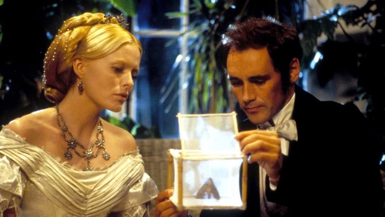 Angels and Insects still