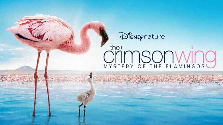 The Crimson Wing: Mystery of the Flamingos still