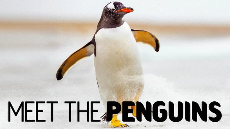 Meet the Penguins still