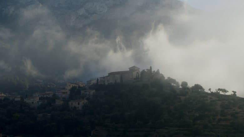 Pedra i oli still