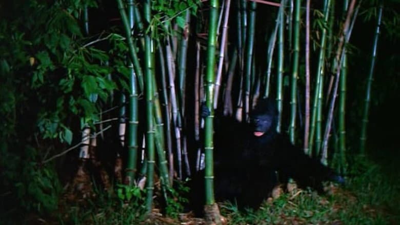 The Beast That Killed Women still