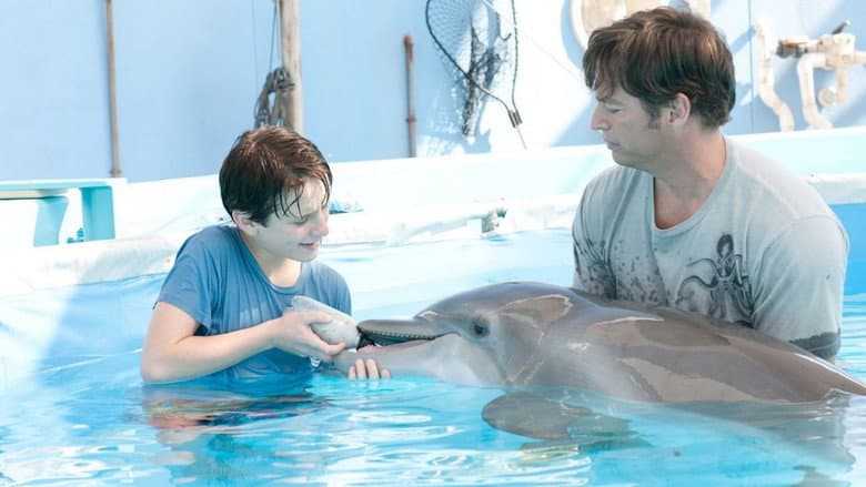 Dolphin Tale still