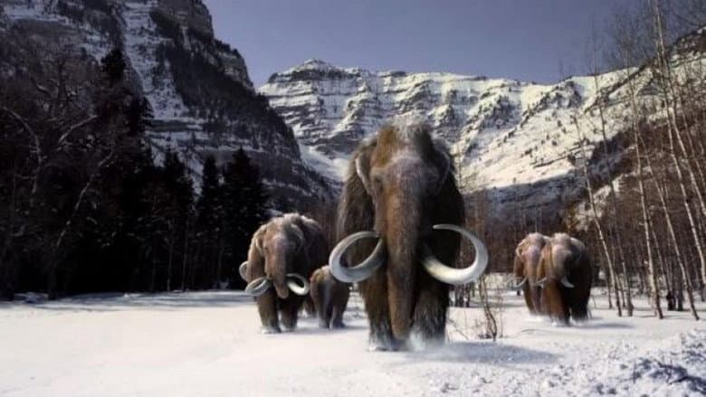 The Mammoth. Titan of the Ice Age still
