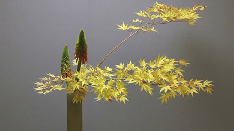 Ikebana still