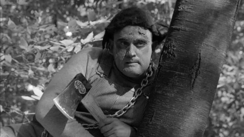 The Monster of Camp Sunshine or How I Learned to Stop Worrying and Love Nature still