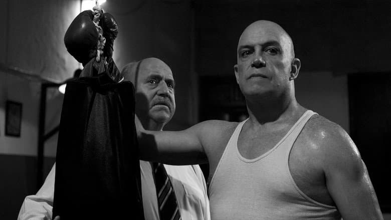 El Púgil still