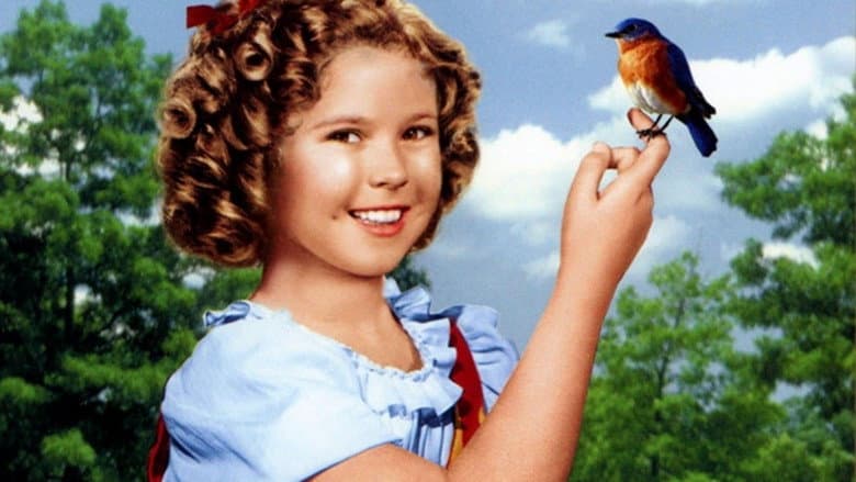 The Blue Bird still