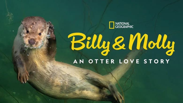 Billy & Molly: An Otter Love Story still