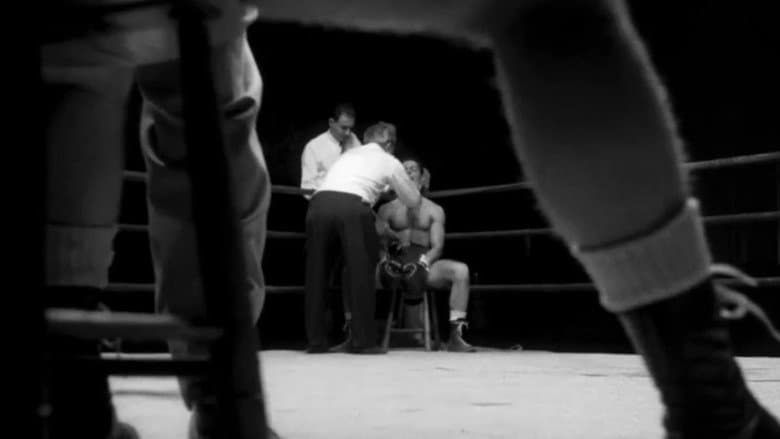 Killer's Kiss still