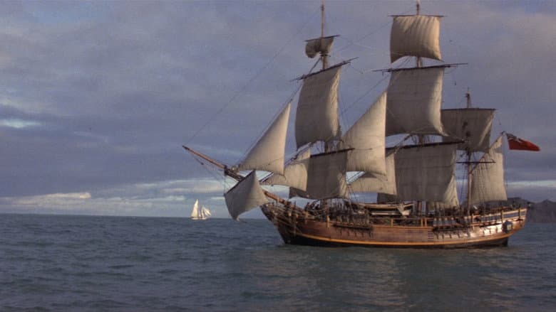 The Bounty still