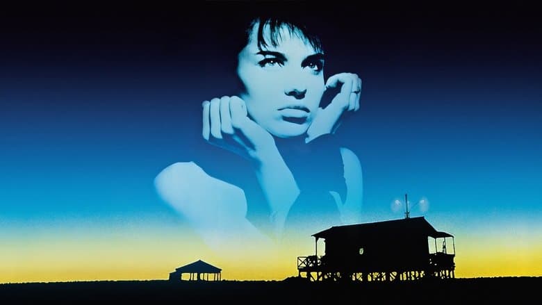 Betty Blue still