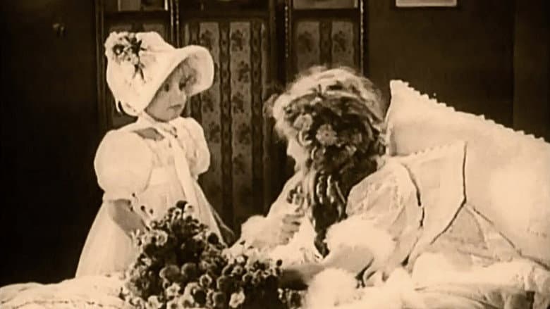 Stella Maris still