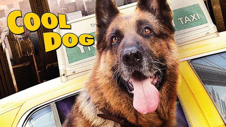 Cool Dog still