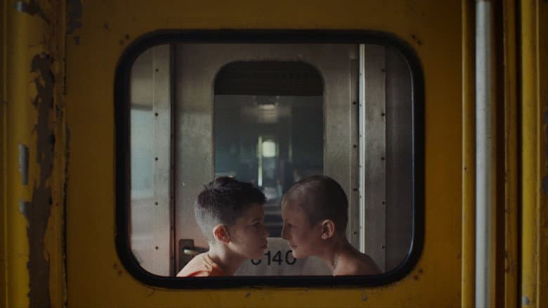 Fauve still