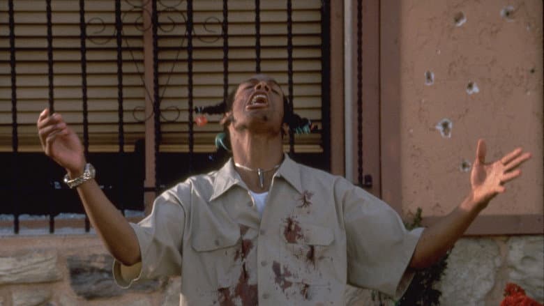Don't Be a Menace to South Central While Drinking Your Juice in the Hood still