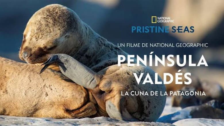 Península Valdés: La Cuna de la Patagonia still