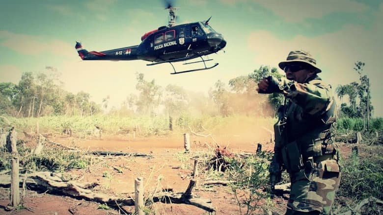 Paraguay, Droga y Banana still