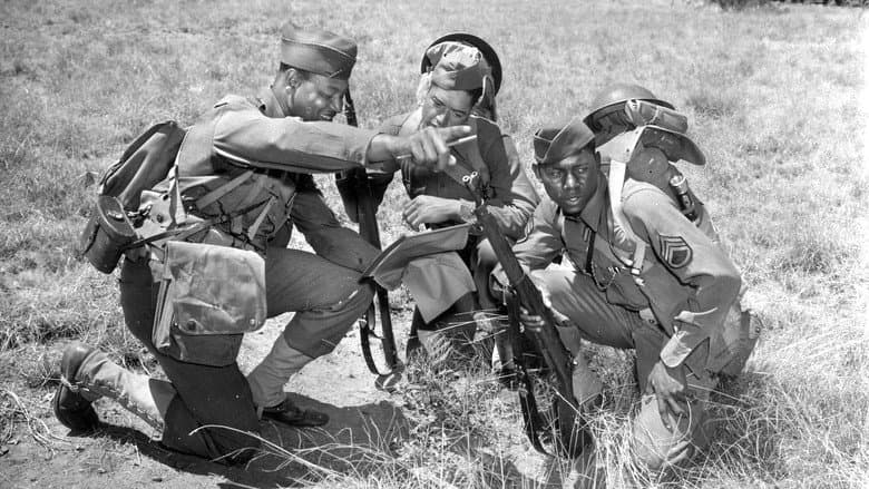 The Negro Soldier still