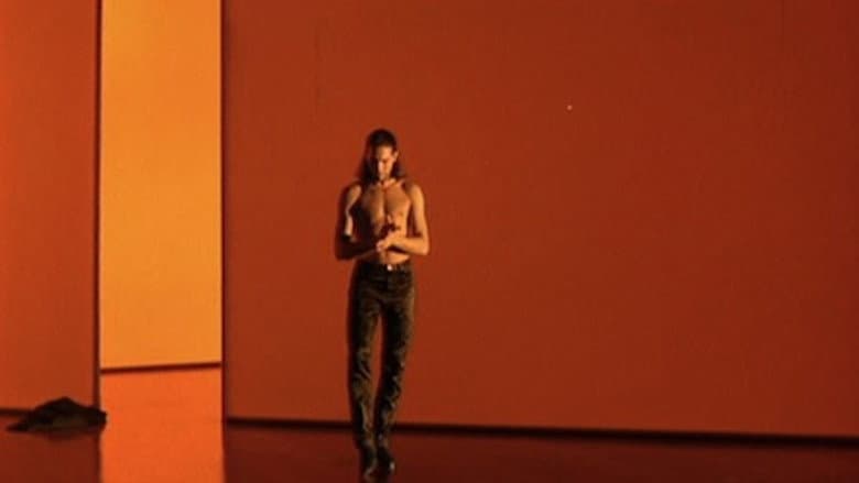 Flamenco still