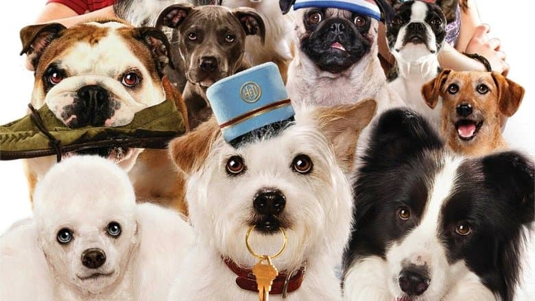 Hotel for Dogs still