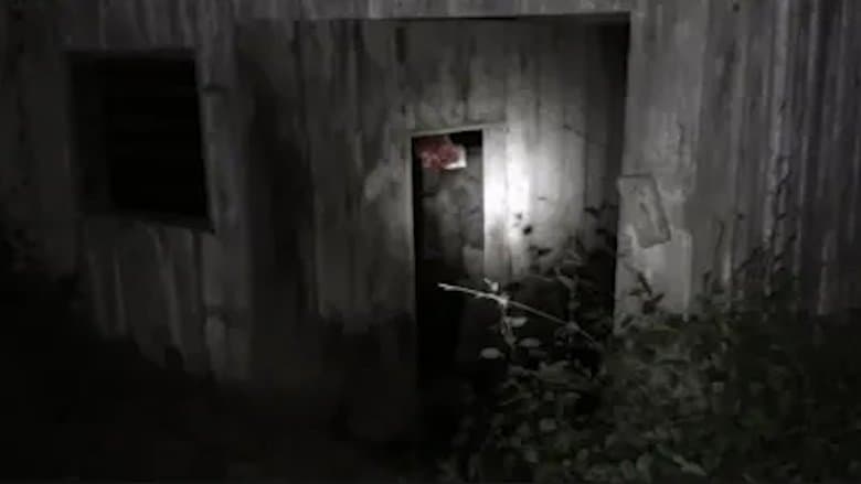 The Fear Footage 3AM still