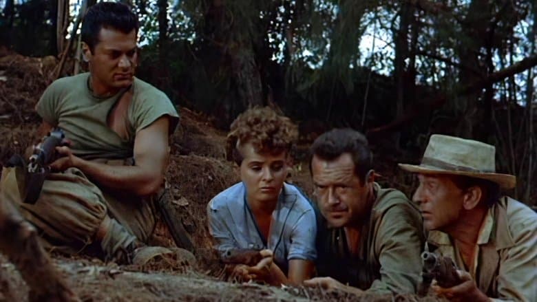 Beachhead still