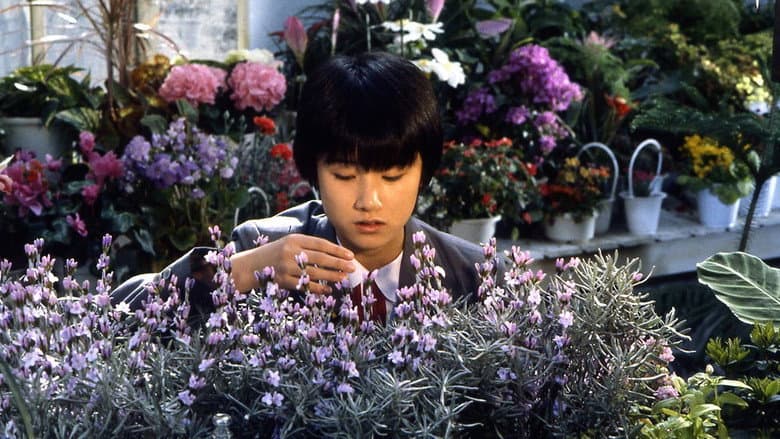 The Girl Who Leapt Through Time still