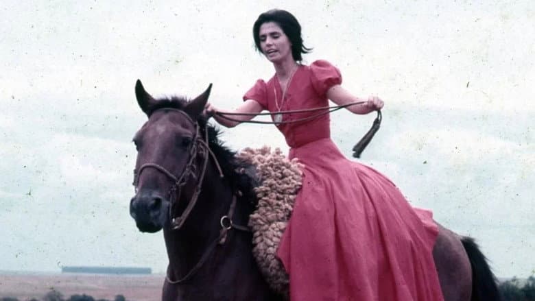Ana Terra still