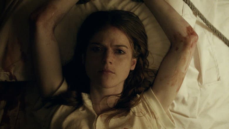 Honeymoon still