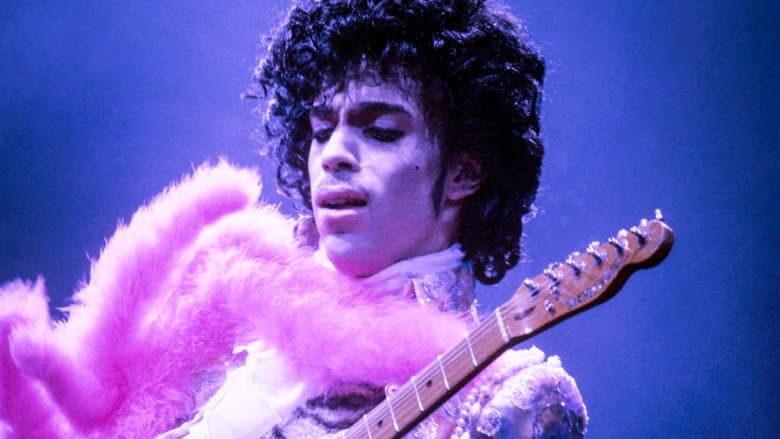 Prince: A Purple Reign still
