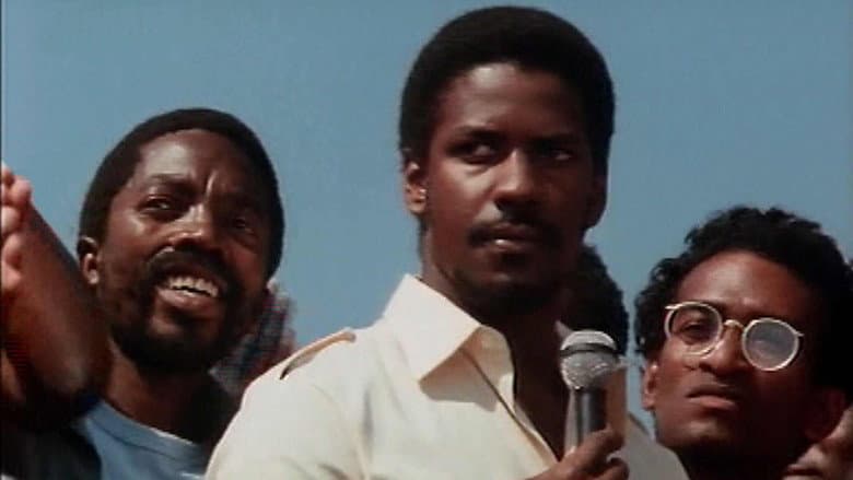 Cry Freedom still