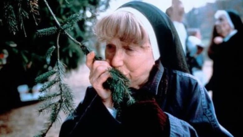 The Christmas Tree still