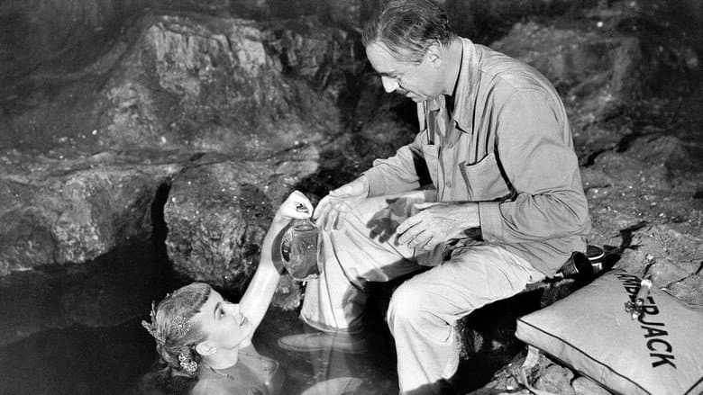 Mr. Peabody and the Mermaid still