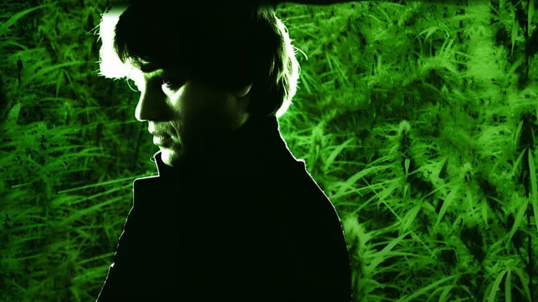 De Dominee still