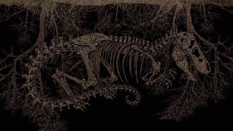 Tyrannosaur still