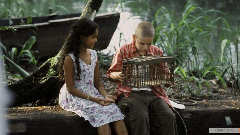 The Blue Butterfly still