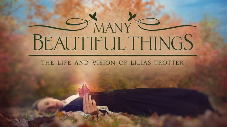 Many Beautiful Things still