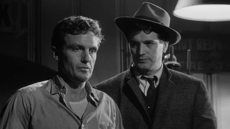 The Tarnished Angels still
