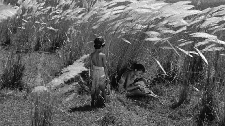 Pather Panchali still
