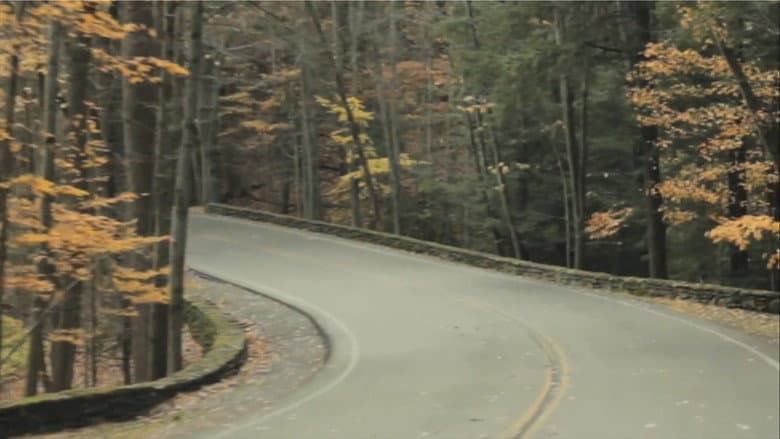 Fall still