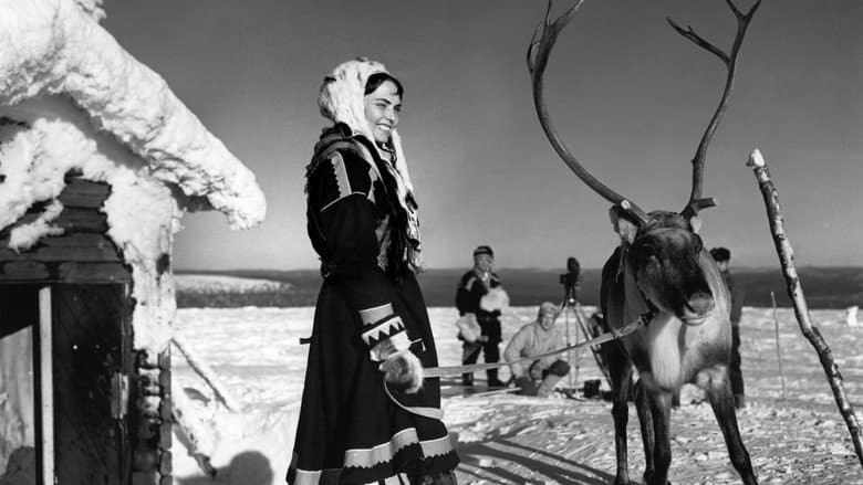The White Reindeer still