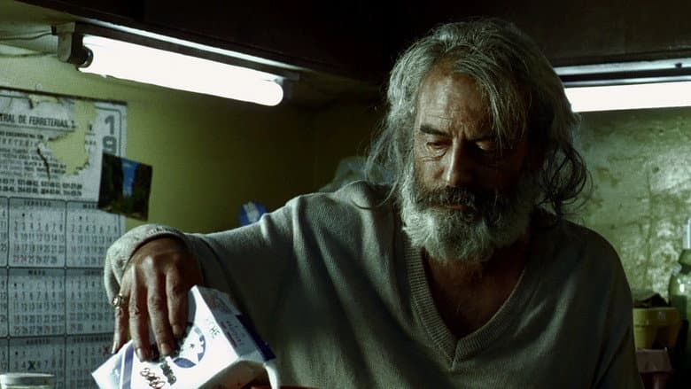 Amores Perros still