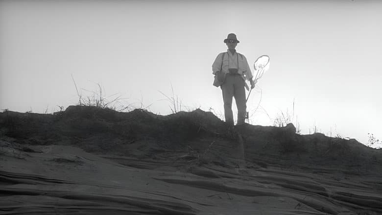 Woman in the Dunes still