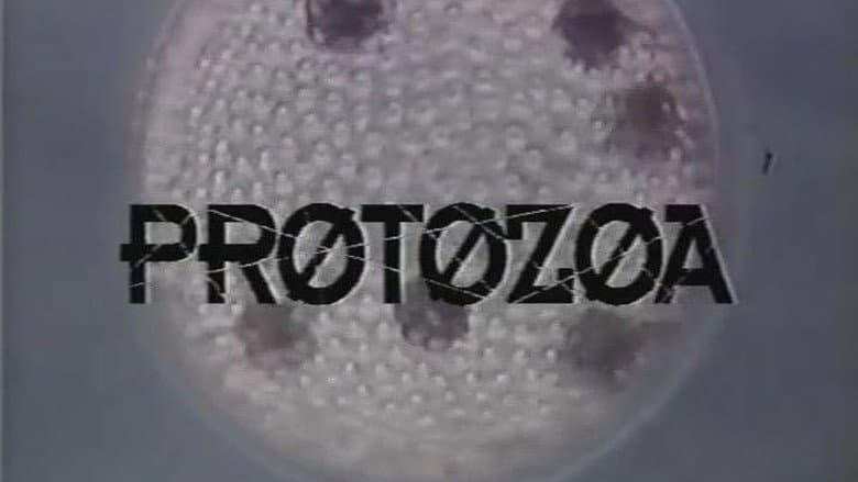 Protozoa still