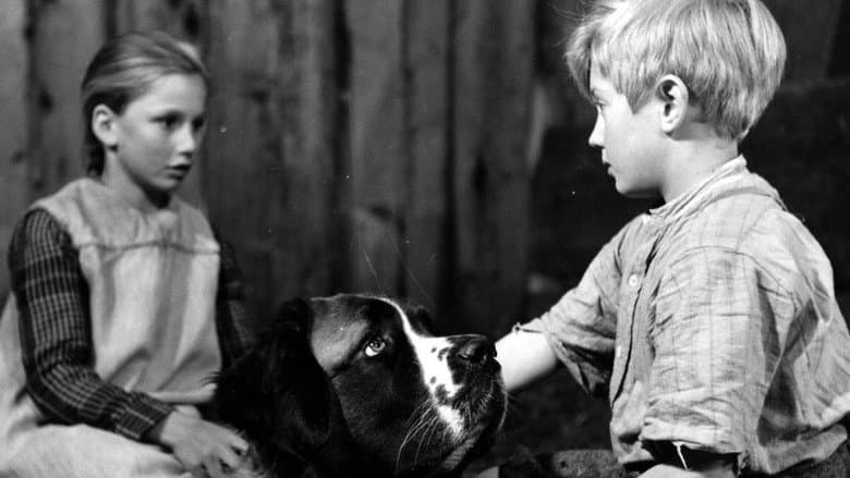 Heart of a Child still